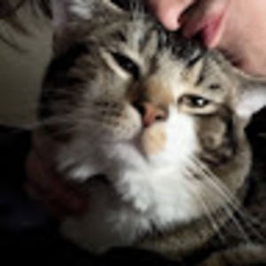 Meet your Posher, Seth